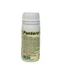 Pantera 40ec 100ml