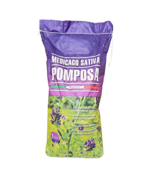 Lucerna pomposa 10kg